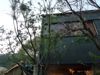 d0266681_2382578.jpg