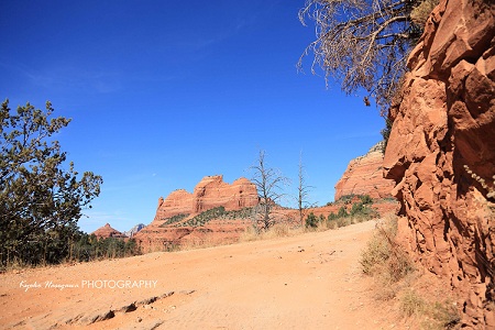 e0148185_10501127.jpg