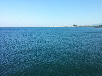 b0233990_20424932.jpg