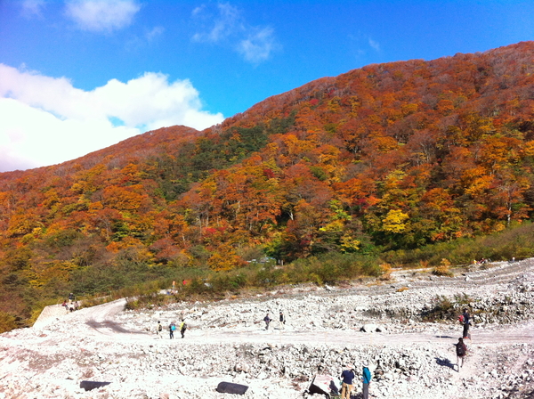 Folhas outonais﻿ e primeira neve 紅葉と初雪_c0190391_09960.jpg