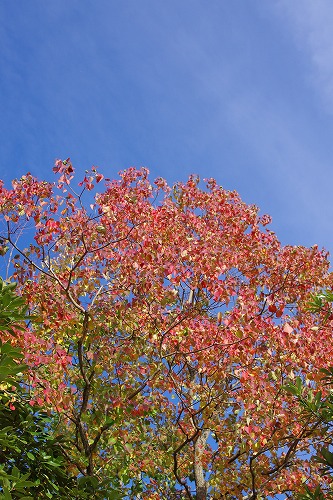 b0119493_2325597.jpg