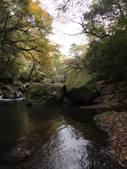 f0209394_19461148.jpg