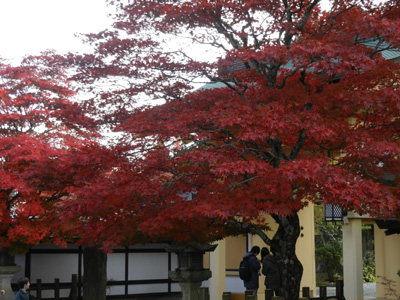 e0204795_9292179.jpg