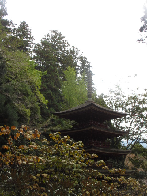a0193698_18434829.jpg