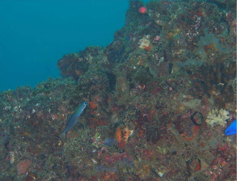 a0201201_1211934.jpg