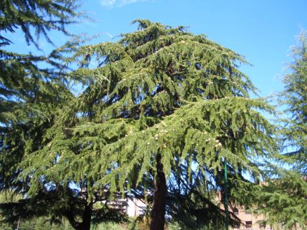 c0173201_92338.jpg