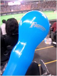 初ハム_b0067302_2052167.jpg