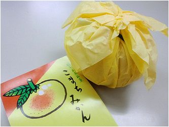 みかんっ。_b0067302_2211337.jpg