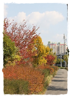 a0123003_21342193.jpg