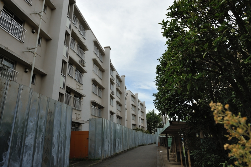 d0264503_21243087.jpg