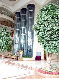 f0077406_552917.jpg