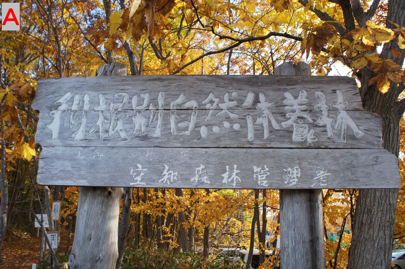 a0248508_20105070.jpg
