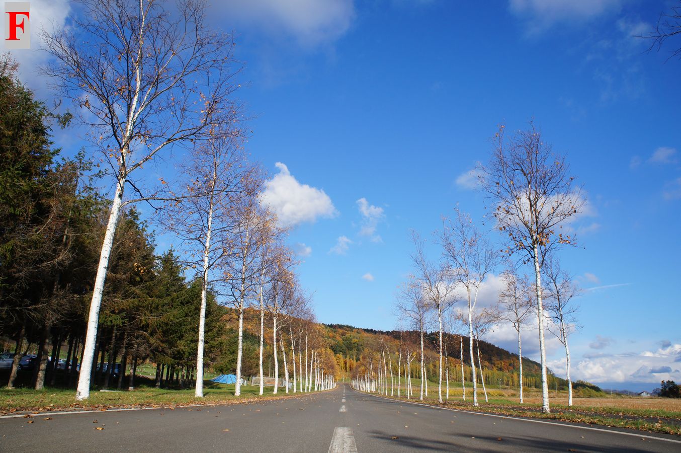 a0248508_20365290.jpg