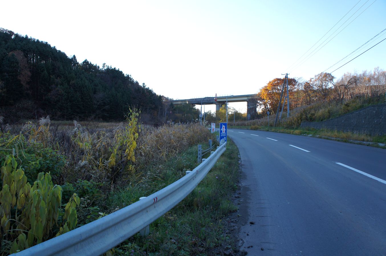a0248508_2101649.jpg