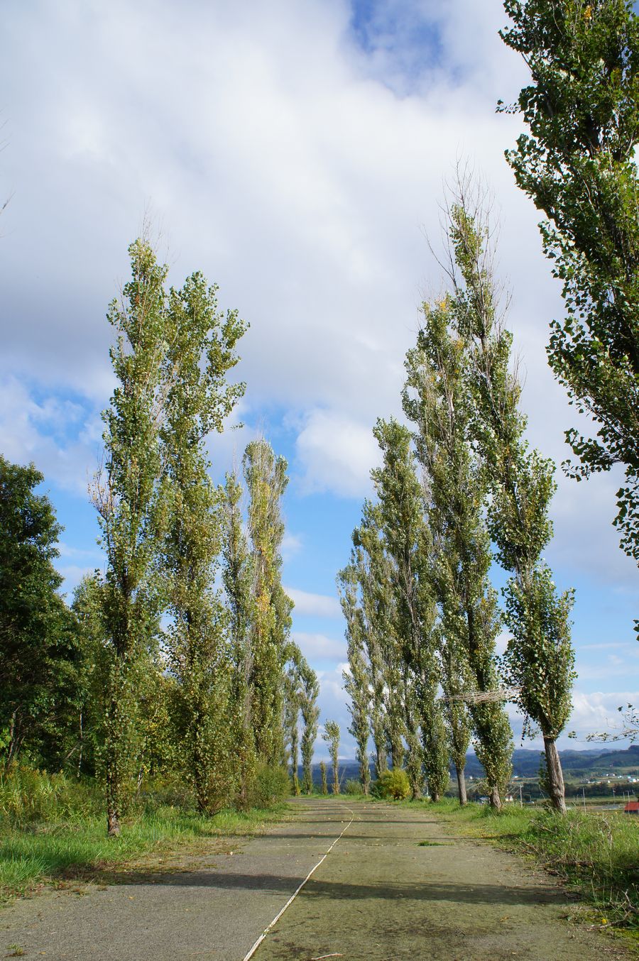 a0248508_2165219.jpg