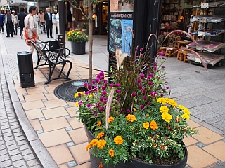 c0156908_22251042.jpg