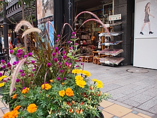 c0156908_22252057.jpg