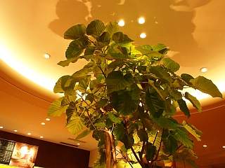 c0156908_22283012.jpg