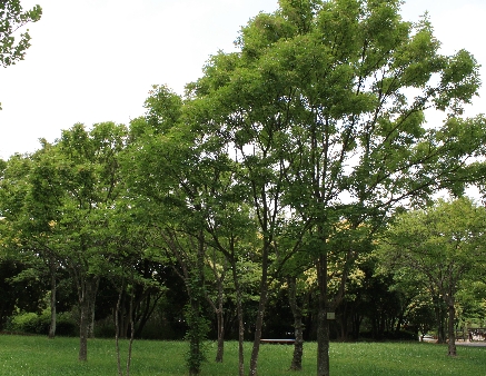 c0163508_2016529.jpg