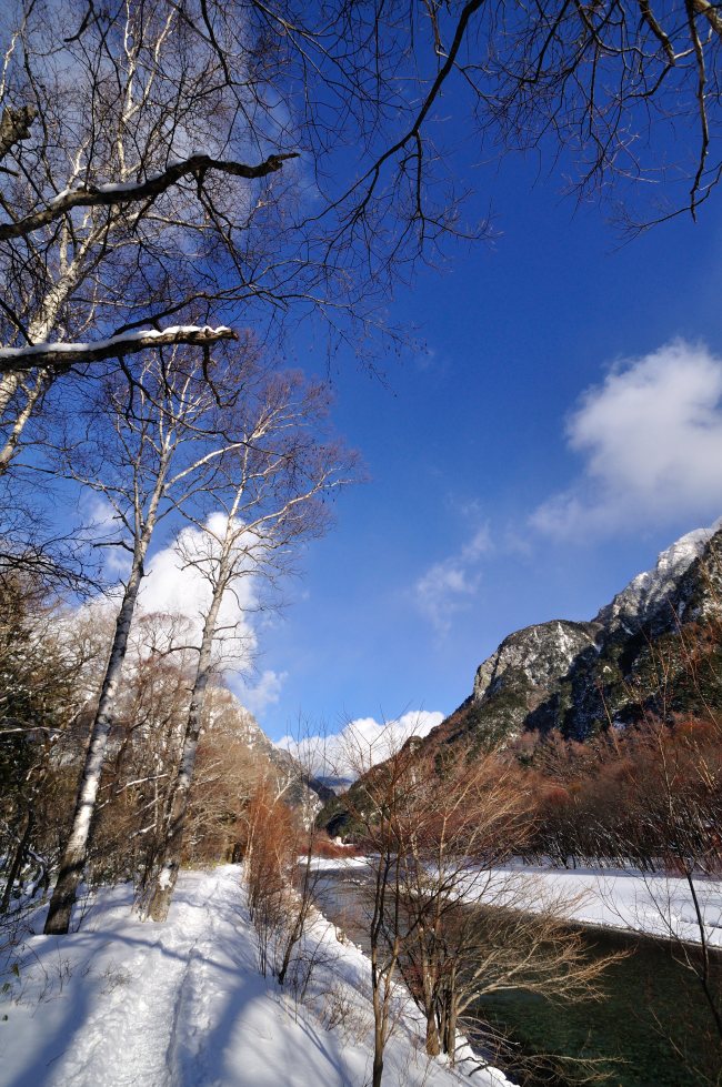 e0217511_2327543.jpg