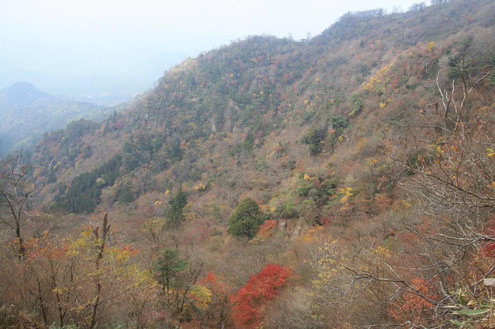 f0212511_22364010.jpg
