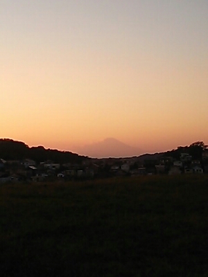 d0150013_8183773.jpg
