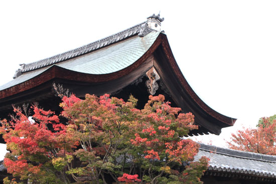 紅葉便り2 天龍寺 紅葉始まる_e0048413_21251815.jpg