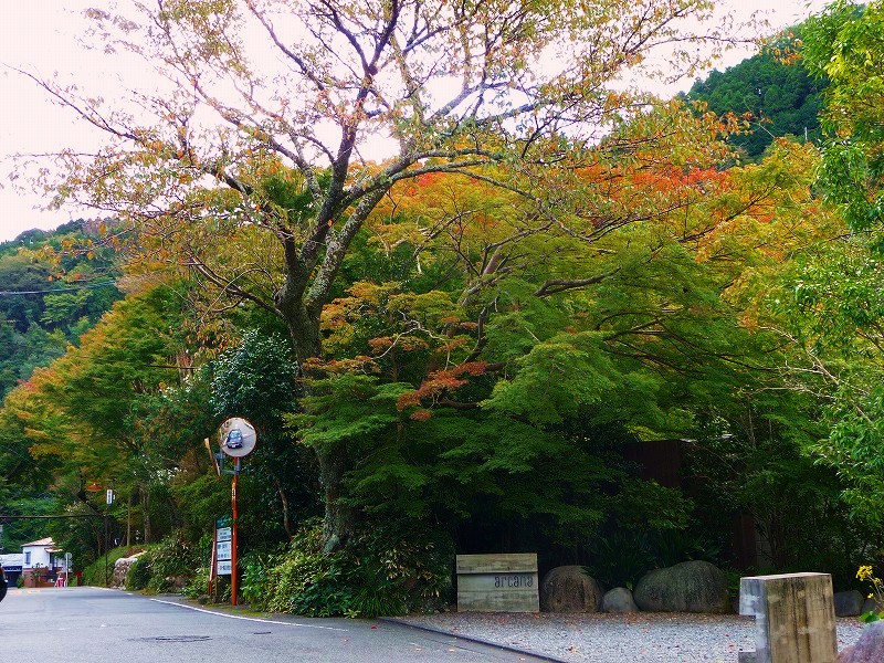 f0182513_20401295.jpg