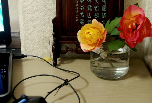 b0238914_13171729.jpg