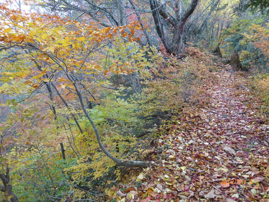 f0033314_1732478.jpg