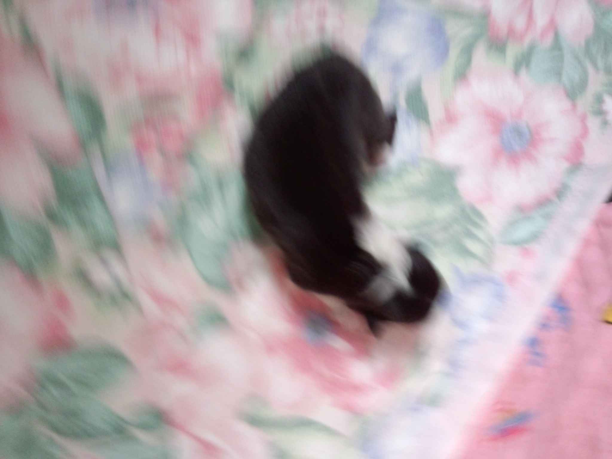 c0123115_1131372.jpg