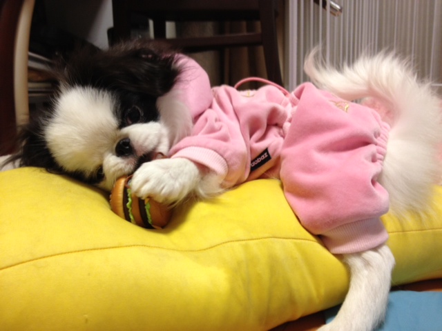 c0200916_013742.jpg