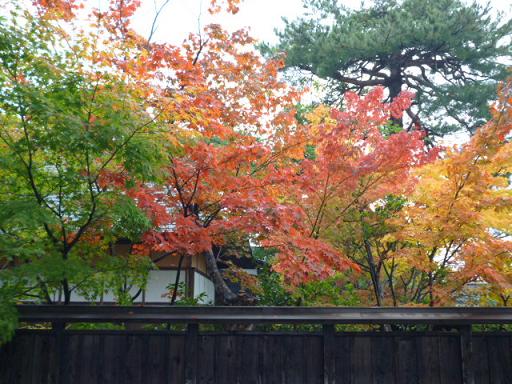 紅葉ノコロ 清水園_e0135219_1065056.jpg