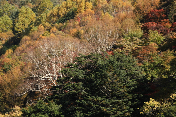 e0242721_1115274.jpg