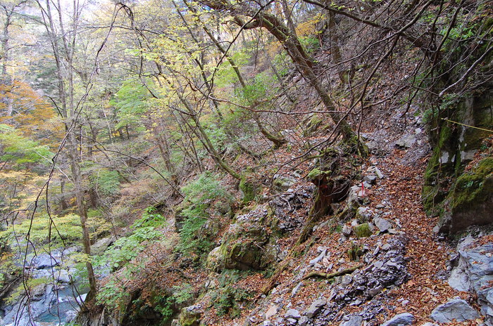 b0195924_17415540.jpg