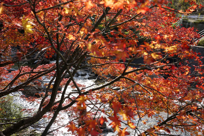 e0200926_845274.jpg