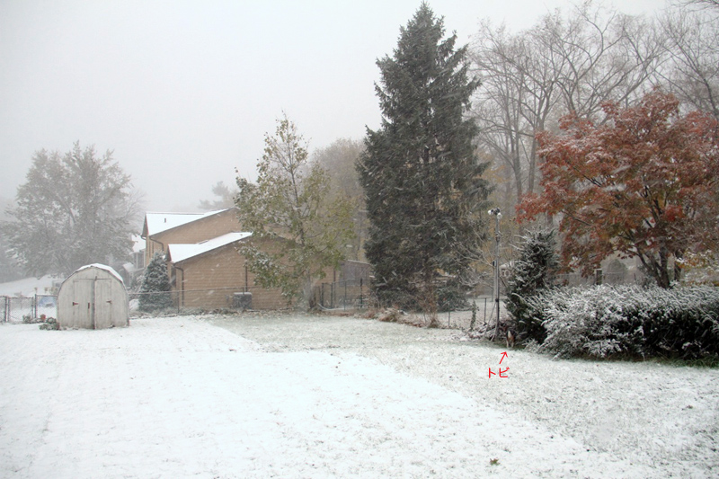 c0064027_6371947.jpg