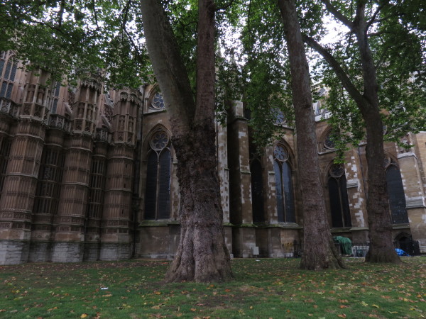 f0017530_2059258.jpg