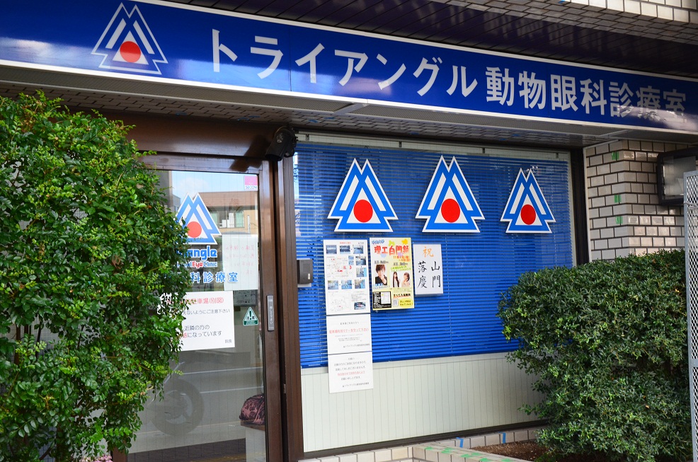 f0124830_113233.jpg