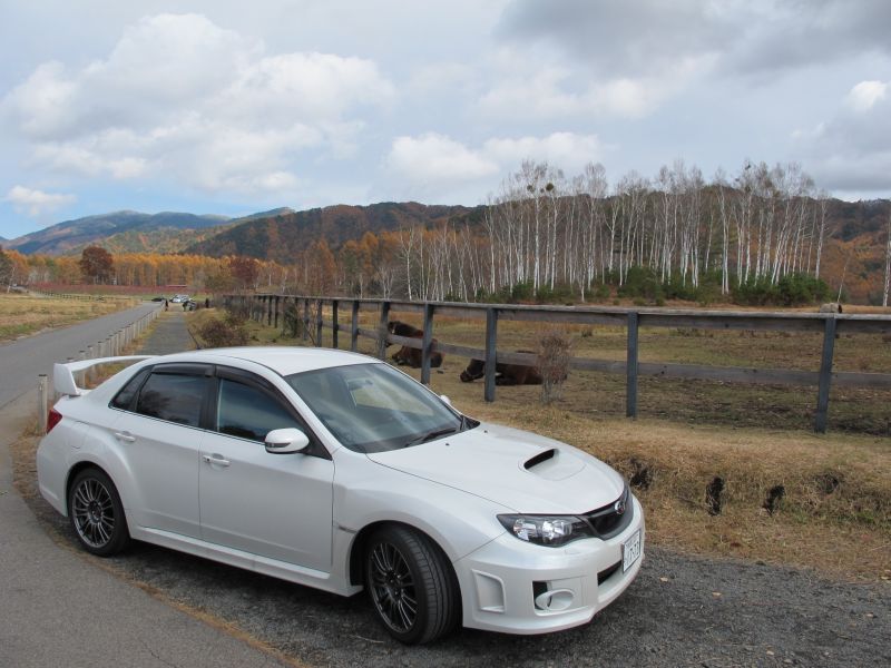 WRX STIの熟成された味と美しい紅葉_f0076731_17213460.jpg