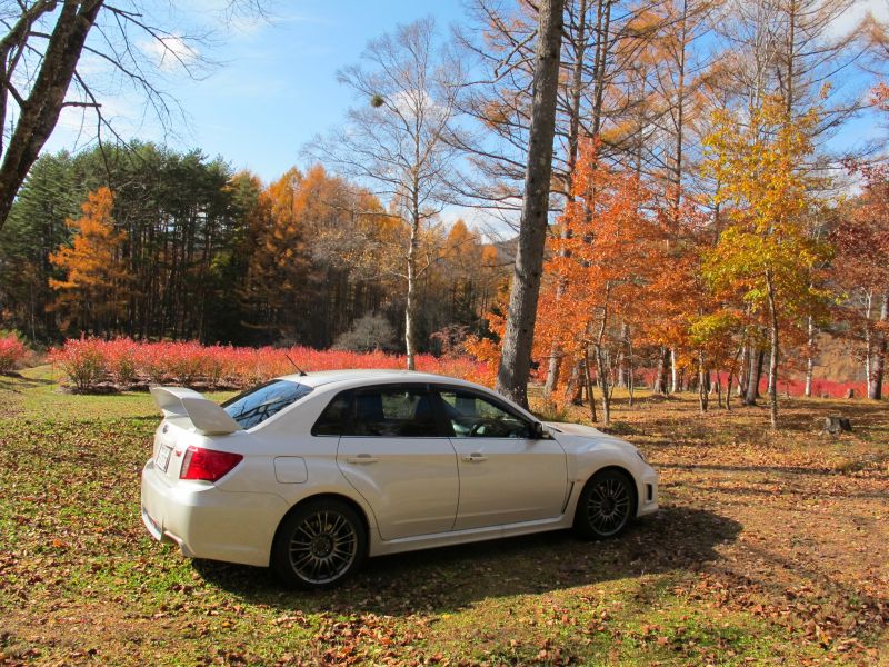 WRX STIの熟成された味と美しい紅葉_f0076731_17265777.jpg