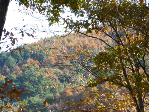 a0267332_15513746.jpg