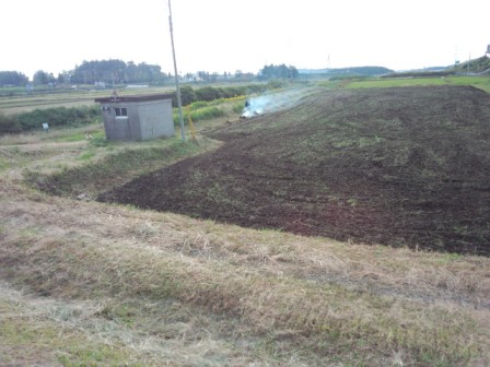 b0164132_102042100.jpg
