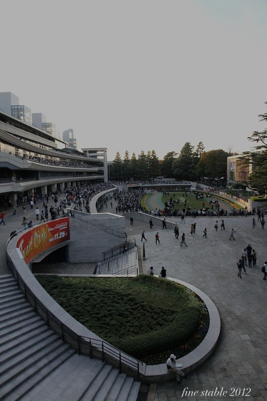 11.8  秋の東京競馬場_c0240132_5253028.jpg