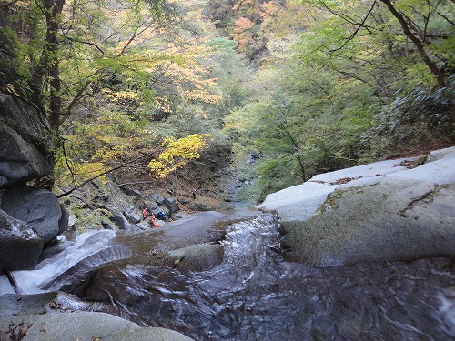 a0048040_21381732.jpg