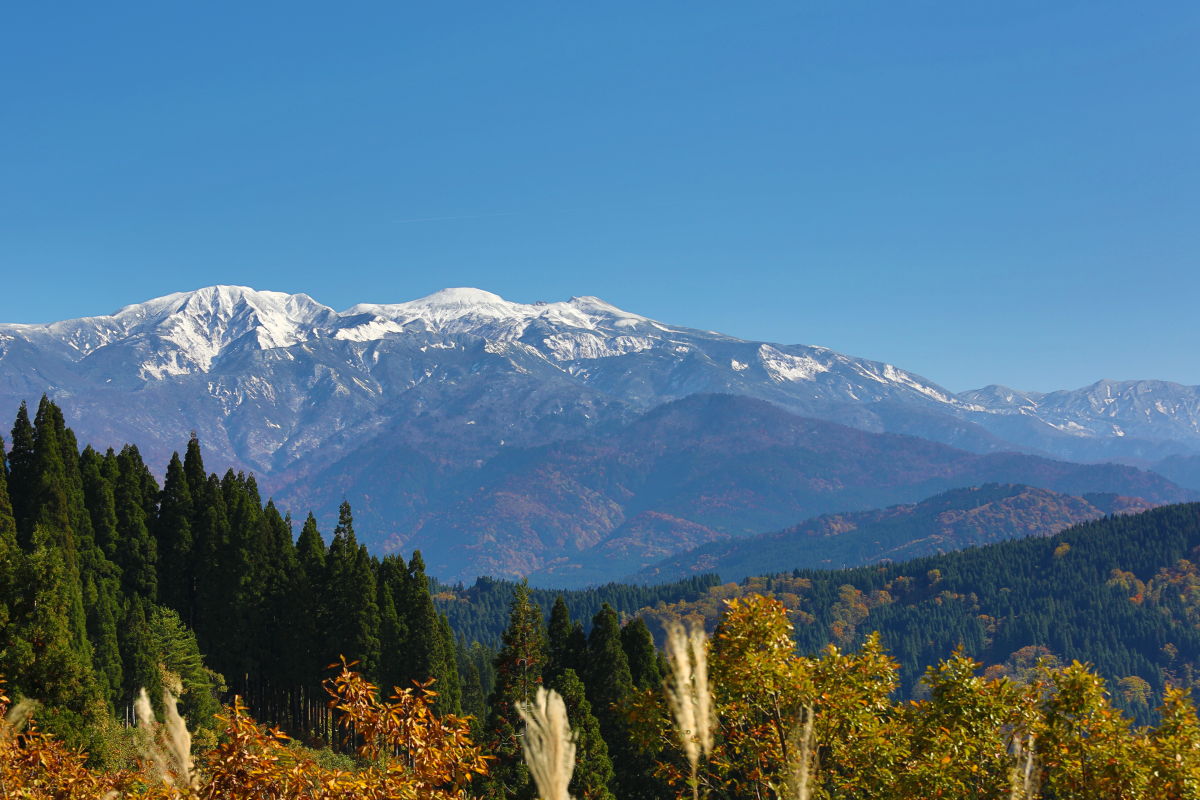 d0135242_2339306.jpg
