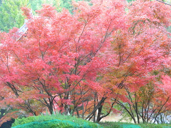 b0218444_1703978.jpg