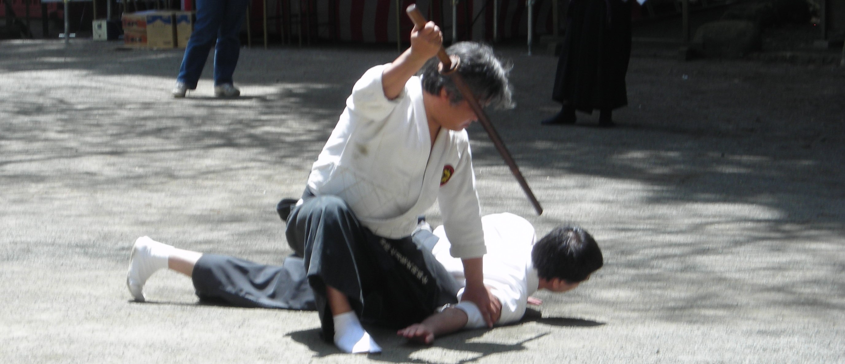 協会制定日本柔術 Nihon Jûjutsu kôyôsuigetsu ryû_b0287744_212650100.jpg