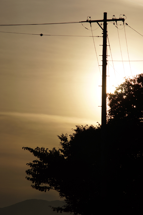 c0035245_143115.jpg