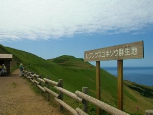 日本の歩きたくなる道　500選_f0102245_16164090.jpg